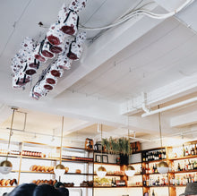 Load image into Gallery viewer, Livia Chocolate Hazelnut Panettone